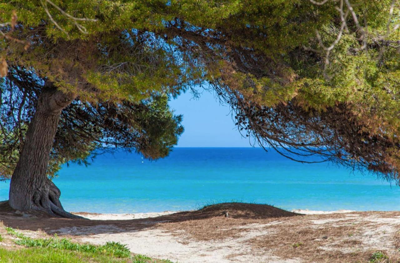 Apartament Countess Of The Bay Attic E Alcúdia
